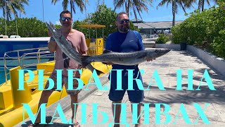 VILLA PARK MALDIVES УТРЕННЯЯ РЫБАЛКА НА МАЛЬДИВАХ BIG GAME FISHING MALDIVES [upl. by Hoashis]