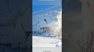 Satisfying 🤩 Snow Removal From Roof [upl. by Reinertson]