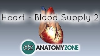 Blood supply to the heart  PART 2  Anatomy Tutorial [upl. by Aleak]