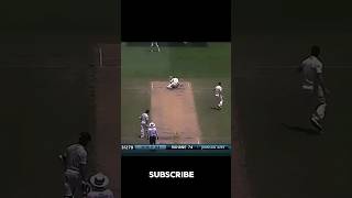 Virat Kohli Angry On Australia 🤬👿 shortvideo shorts cricket [upl. by Atinrahs]