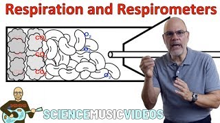 Respiration and Respirometers [upl. by Aibos]