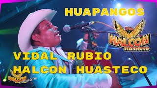 huapangos con halcon huasteco de vidal rubio [upl. by Annayrb]