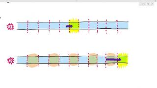 1511 Function of the Myelin Sheath Cambridge AS A Level Biology 9700 [upl. by Nadeen]