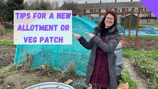 New Allotment Plot Tips  Allotment Gardening For Beginners UK [upl. by Minica]