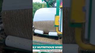 How to make silage imaginebusiness farming agriculture silage forage agribuisness [upl. by Meeharbi]