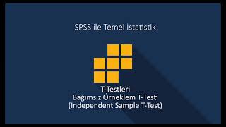 SPSS22 Bağımsız Örneklem T Testi [upl. by Iridis]