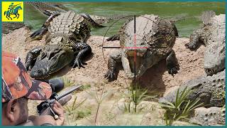 How do hunters use helicopters to hunt crocodiles  Wild Boar Hunting [upl. by Anawak88]