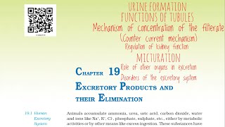 Excretory products and their elimination NCERT Part  3 For NEET [upl. by Biancha647]