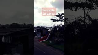 Beruwala srilanka music cover song singer coversong wildlife lankan songlyrics nature 🌊⛱️😎 [upl. by Gnuhp]