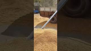 GRAIN SUCTION MACHINE WORKING [upl. by Patterson315]