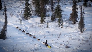 Inside the 51st Iditarod The meaning behind the ‘Last Great Race on Earth’ [upl. by Anirdnaxela565]