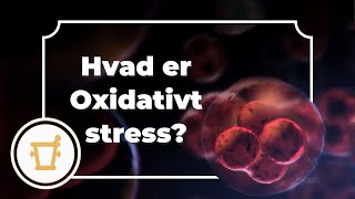 Hvad er oxidativt stress  Pharma Nord [upl. by Amek]