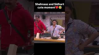 sidnaaz sidharthshukla sehnaazgill biggboss13 viralvideo shorts public [upl. by Ayal]