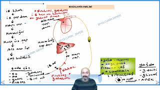 Sindirim sistemi 2 ders [upl. by Eelsha]