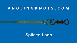 How to make a Spliced Loop [upl. by Wittenburg]