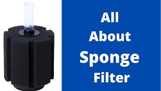 Sponge Filter Aquarium  Sponge Filter  Sponge Filter Setup in Hindi  Sponge filter working [upl. by Hild]