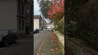 Germany Bad Honnef schorts europe nature 2024 autumn travel vibes [upl. by Naes]