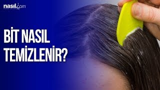 Bit Nedir Nasıl Oluşur Nasıl Temizlenir  Sağlık  Nasilcom [upl. by Aydni520]