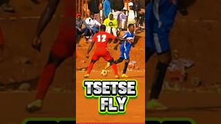 TSTSTSTsetse Fly  Aviator kasifootball youtubechamps [upl. by Lekim]