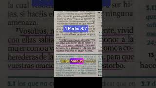 RESPETO A LA MUJER DIOS jovenescristianos biblia cristianos textos biblico [upl. by Ibson254]