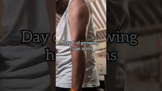 Day 6 of growing huge arms forearms armwrestling hands triceps gym workout veins bigarms [upl. by Sixela801]