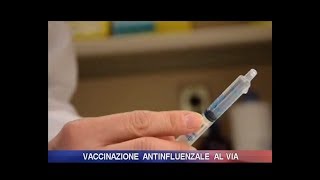 Vaccinazione antinfluenzale al via [upl. by Lerim]