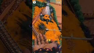 Baba Agar Aapki Kripa Nahin toTumhen happy birthday sanvariya 12 November Khatu Shyam Ka viralvideo [upl. by Sumetra]