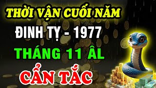 Tử Vi Tháng 11 ÂL Tuổi Đinh Tỵ 1977 Cẩn Tắc Vô Áy Náy Sơ Sẩy là Tiền Mất Tật Mang [upl. by Cathrin]