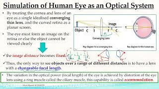 Emmetropia Vs Vision Defects  الفيزياء الحيوية [upl. by Idelle]