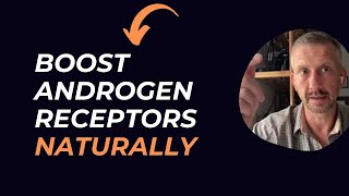 How To Increase Androgen Receptors  Heat Shock Proteins [upl. by Etta628]