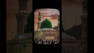 Madina  Naat  viral video  YouTube Short video  unfreeze my account  please Support me [upl. by Lubet458]