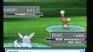 Shiny EEVEE evolutions 2nd EDITION plus my platinum shinys FULLY LEGIT [upl. by Rosalba]