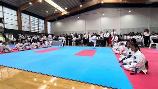 GKR Karate World Cup  Kata Round 1 [upl. by Garfield]