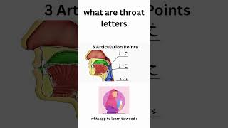 What are throat letters shortsvideo viralshort tranding arabic viralshorts makhraj quran [upl. by Norha]