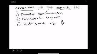 Coverings of hernial sac in femoral hernia anatomy medicalstudent [upl. by Arela829]