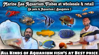 Marine Fishs 🐟🐠🐡 Aquarium Fishes available at wholesale amp Retail 😱  SK PETS amp AQUARIUMS BANGALORE [upl. by Valiant]