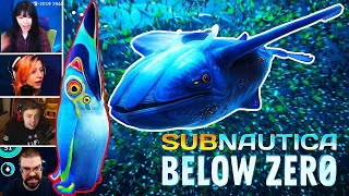 Subnautica Below Zero Top Twitch Jumpscares Compilation Part II Horror Games [upl. by Nikita]