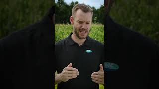 Zach King on the Syngenta Seeds Early Corn Breeding Pipeline [upl. by Pasol]