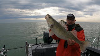 Targeting Big Lake Erie PreSpawn PreFront Walleye [upl. by Matthew607]