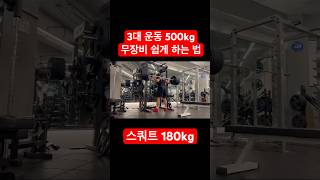 3대 운동 500kg 무장비 한번에 하는 영상 [upl. by Cirdla104]