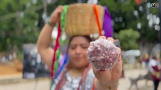 Nahuas de Milpa Alta CDMX en Oaxaca [upl. by Ardnasirk51]