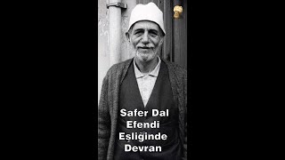 Safer Dal Efendi  Bir mahşer mi kopup gelen  Cerrahi Zikir  Shorts [upl. by Ayle]