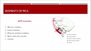 Mnemonic for Segments of PICA  Cerebral Angiography Tricks 08 [upl. by Tarkany767]