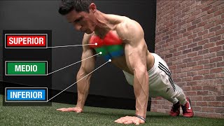 Rutina de FLEXIONES Perfecta 3 NIVELES ¡Pectorales  Pecho [upl. by Dulce]