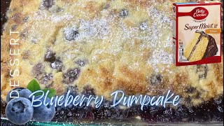 Blueberry Dump Cake with Frozen Blueberries  the perfect dessert dumpcake [upl. by Oratnek139]