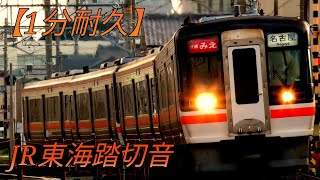 【1分耐久】JR東海踏切音 [upl. by Enilesor]