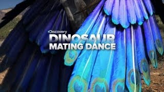 Crazy Dinosaur Mating Dance [upl. by Ecniuq]