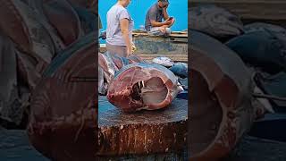 Uncle Abbass Great Skills Cutting Big yellowfin tuna shorts fyp viral food cuttingfishtuna [upl. by Eneleahs]