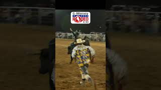 Steer Riding  G Rodeo [upl. by Adanama]