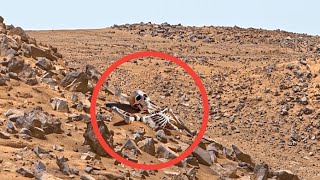 NASAs Mars Rover Perseverance Sent Super Incredible Footage of Mars Sol 117 Curiosity Mars In 4k [upl. by Luaped791]